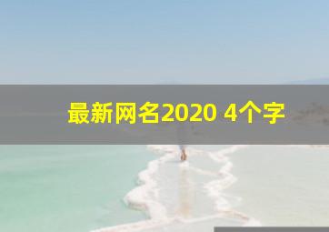 最新网名2020 4个字